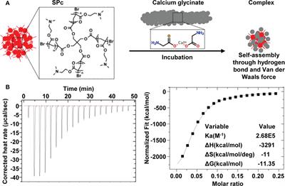 Calcium nutrition nanoagent rescues tomatoes from mosaic virus disease by accelerating calcium transport and activating antiviral immunity